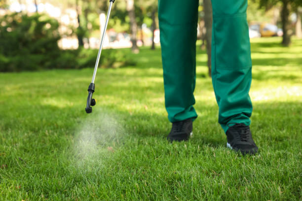 Best Pest Control Near Me in Fruitvale, CO