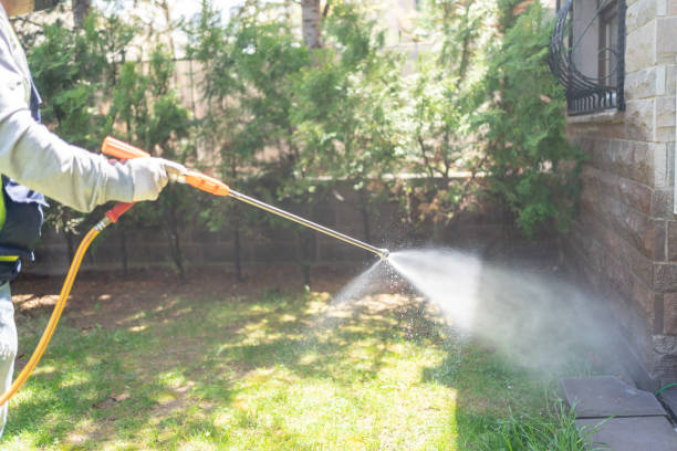 Best Best Pest Control Companies  in Fruitvale, CO