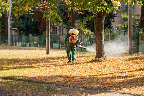 Best Local Pest Control Services  in Fruitvale, CO