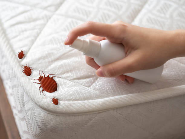 Best Pest Prevention Services  in Fruitvale, CO