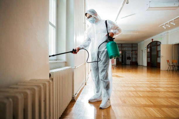 Best Affordable Pest Control Services  in Fruitvale, CO